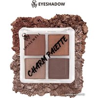 Палитра теней Shinewell Charm Palette LCS2-04 (светло-коричневый/темно-коричневый)