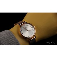 Наручные часы Skagen SKW2151