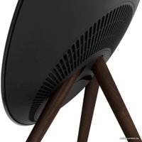 Напольная акустика Bang & Olufsen BeoPlay A9 (черный, 4-ое поколение)