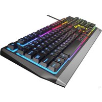 Клавиатура Genesis Rhod 300 RGB