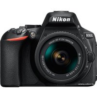 Зеркальный фотоаппарат Nikon D5600 Kit 18-55mm AF-P DX VR