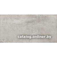 Керамическая плитка Domino S-Tempre Graphite 308x608 в Лиде