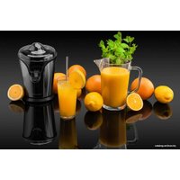 Соковыжималка Goetze & Jensen CJ500X