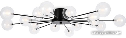 Припотолочная люстра Freya Celebrity FR5242CL-16B1