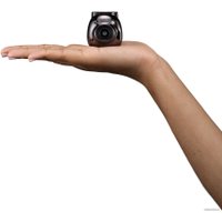 Фотоаппарат Fujifilm Instax Pal (черный)