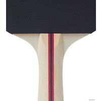 Ракетка для настольного тенниса TORNEO Hobby TI-B200
