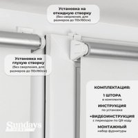 Рулонные шторы Sundays Home LM 167-01 78х215 (белый)