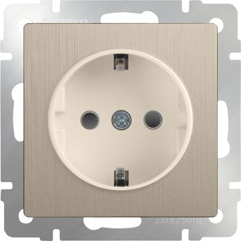 Розетка Werkel WL10-SKG-01-IP20 (шампань рифленый)