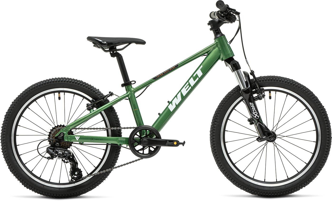 

Детский велосипед Welt Brave 1.0 20 V 2025 (Calm Green)