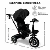 Детский велосипед Bubago Dragon BG 161-4 (черный)