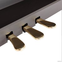 Цифровое пианино Rockdale Fantasia RDP-7088 (розовое дерево)