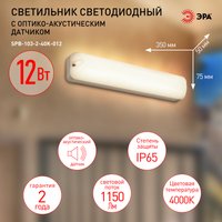 Светильник ЭРА ЖКХ SPB-103-2-40K-012 Б0052938 в Витебске