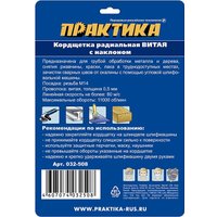 Щетка для электроинструмента Практика Мастер 032-508