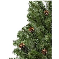 Ель Maxy Poland Русская с шишками (2.2м)