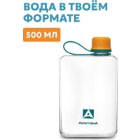 Бутылка для воды Арктика 727-500-ORGN (морошка)