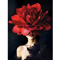 Алмазная мозаика  Феникс+ Роскошная роза 70851