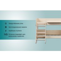 Двухъярусная кровать Можга Капризун 3 Р438 (дуб молочный)