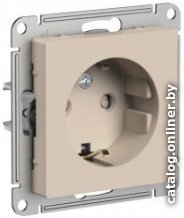 

Розетка Schneider Electric AtlasDesign ATN001245