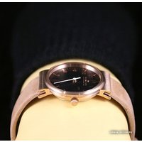 Наручные часы Skagen SKW2189