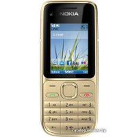 Кнопочный телефон Nokia C2-01