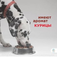 Таблетки от блох и клещей Apicenna Гельмимакс-4 для щенков и собак мелких пород (2 таблетки)