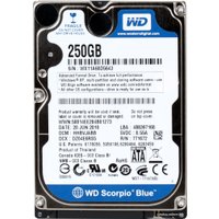 Жесткий диск WD Blue 250GB [WD2500LPCX]