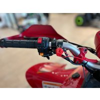 Квадроцикл Yacota Typhoon 250 LD (красный) в Могилеве