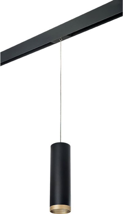

Трековый светильник Lightstar Rullo PRORP649790