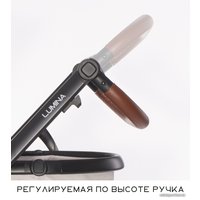 Универсальная коляска Lorelli Lumina 2021 (2 в 1, черный) в Солигорске