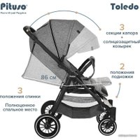 Коляска прогулочная «книга» Pituso Toledo EVA (серый/металлик)