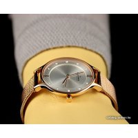 Наручные часы Skagen SKW2151