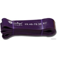 Фитнес резинка Indigo Кроссфит 601 HKRBB (фиолетовый)