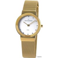 Наручные часы Skagen 358SGGD