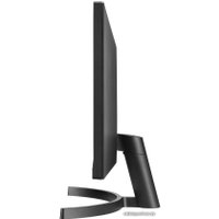 Монитор LG UltraWide 29WL50S-B