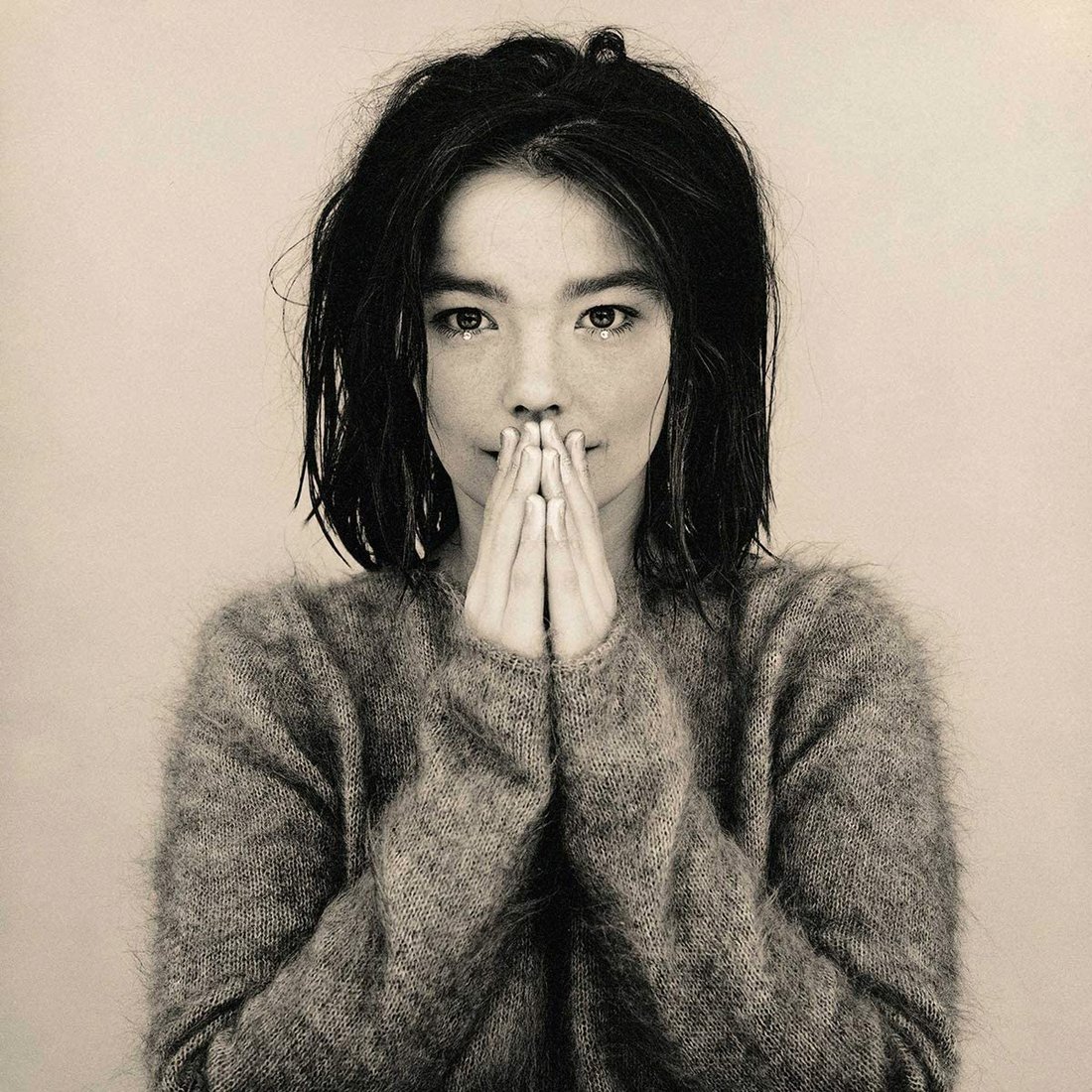 

Виниловая пластинка Björk ‎- Debut