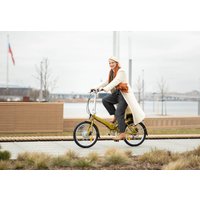 Электровелосипед Shulz E-GOA 2025 (горчица)