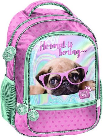 Paso Studio Pets PTM-260