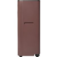Мобильный кондиционер Ballu Twinkle BPAC-09 DWR/N6 Red