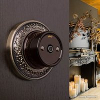 Розетка телевизионная Werkel W5683014 a051058