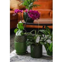 Кашпо Polnix 31.149.13 (зеленый)