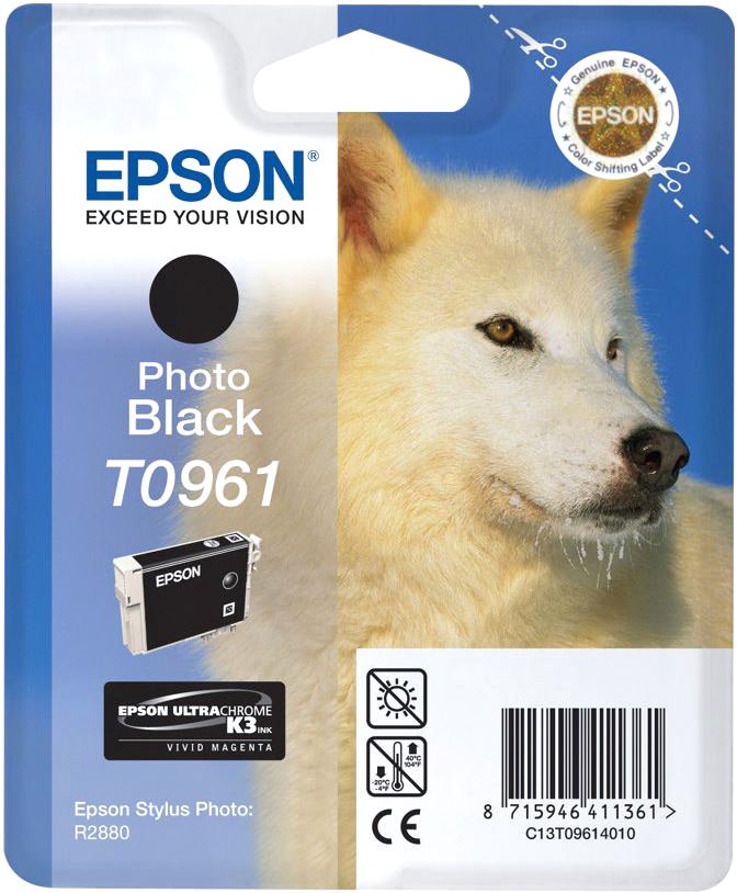 

Картридж Epson C13T09614010