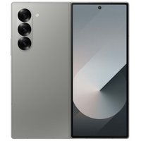 Смартфон Samsung Galaxy Z Fold6 SM-F956B/DS 12GB/1TB (серый) и наушники Galaxy Buds3 Pro (серебристый) по акции