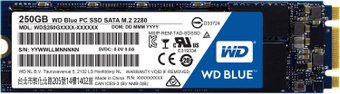 WD Blue M.2 2280 250GB [WDS250G1B0B]