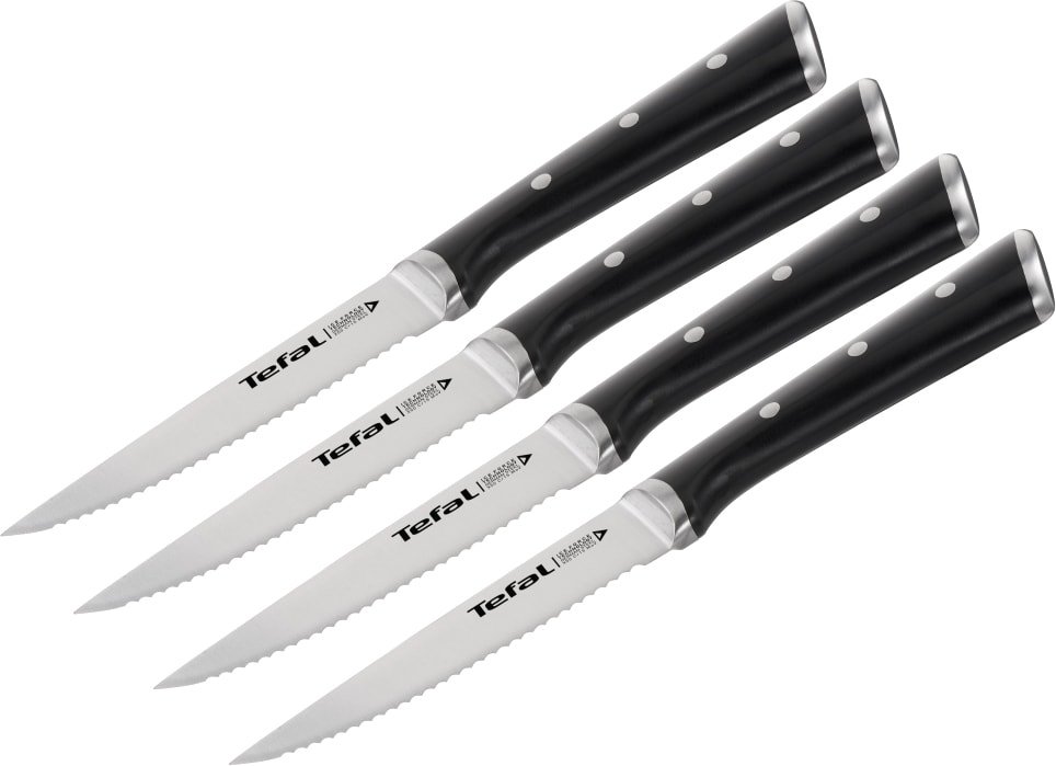 

Набор ножей Tefal Ice Force K232S414