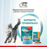 Пресервы Purina One с курицей и морковью 26x75 г в Бресте
