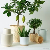 Кашпо Ikea Каффебона 404.236.20