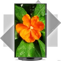 Монитор NEC MultiSync E271N-BK