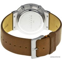 Наручные часы Skagen SKW6099