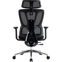 Офисное кресло Evolution Flow (черный)