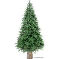 Ель Albero Di Natale Berta на пне 1.8 м